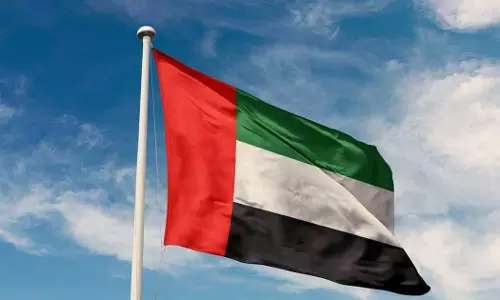 UAEs project to provide drinking water to Gaza is progressing