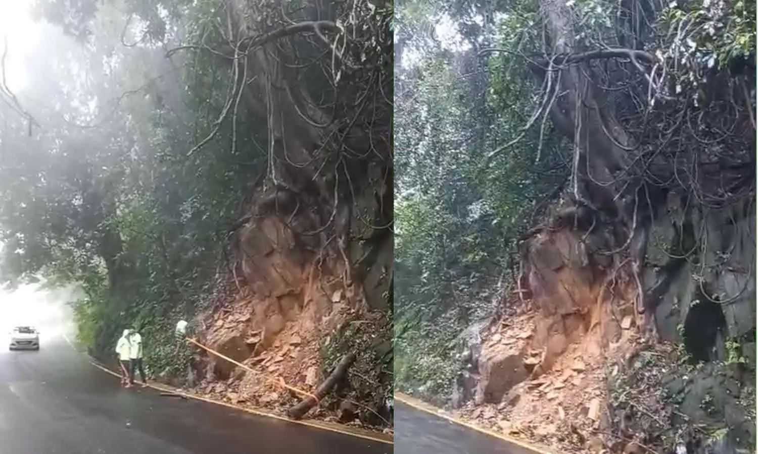 താമരശ്ശേരി ചുരത്തിൽ മരം നിലംപൊത്താറായ നിലയിൽ