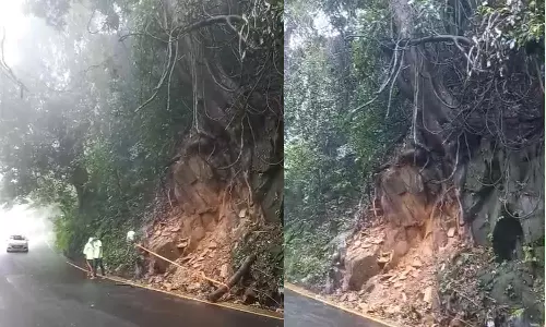 താമരശ്ശേരി ചുരത്തിൽ മരം നിലംപൊത്താറായ നിലയിൽ