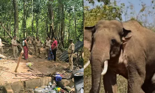 കാട്ടാന വീട് തകര്‍ത്തു; വീട്ടമ്മ ഓടിരക്ഷപ്പെട്ടു