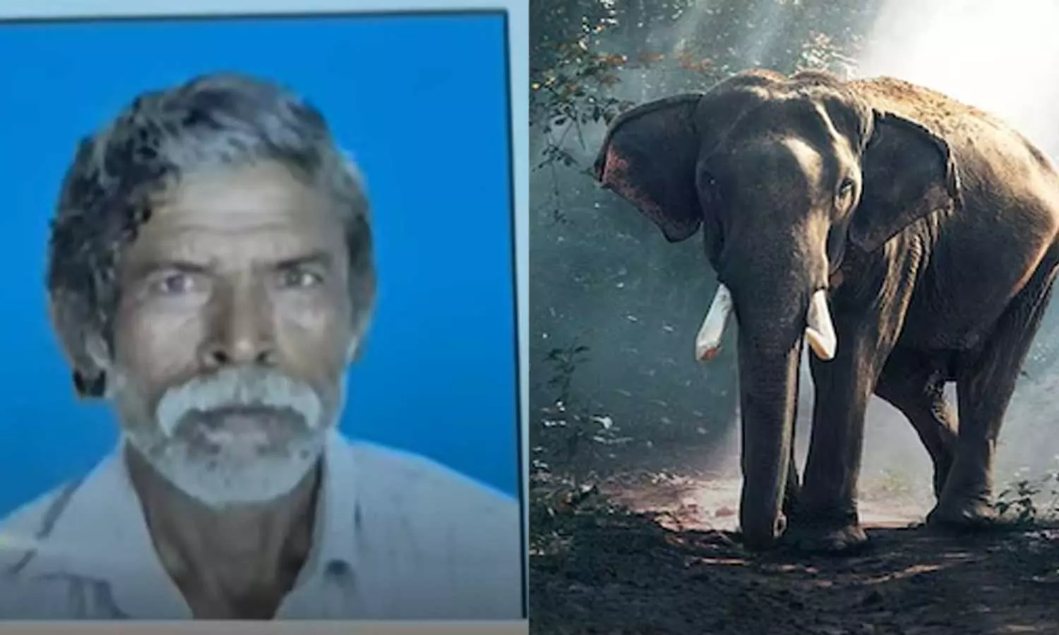 വീണ്ടും ജീവനെടുത്ത് കാട്ടാന; മുണ്ടൂരിൽ മധ്യവയസ്കൻ  കൊല്ലപ്പെട്ടത്  വീട്ടുമുറ്റത്ത് വച്ച്