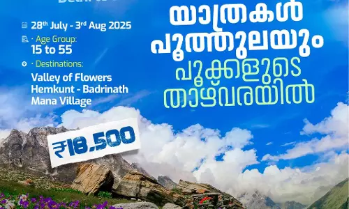 mediaone mystic meadows