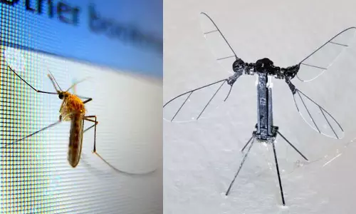 യുദ്ധരംഗത്ത് പുതിയ വഴിത്തിരിവ്; കൊതുകിന്റെ വലിപ്പത്തില് ഡ്രോണുകള് വികസിപ്പിച്ച് ചൈന യുദ്ധരംഗത്ത് പുതിയ വഴിത്തിരിവ്; കൊതുകിന്റെ വലിപ്പത്തില് ഡ്രോണുകള് വികസിപ്പിച്ച് ചൈന