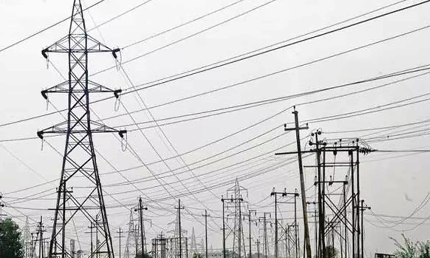 ഇടുക്കി നെടുങ്കണ്ടത്ത് വൈദ്യുത പോസ്റ്റില് നിന്ന് ഷോക്കേറ്റ് യുവാവിന് പരിക്ക് ഇടുക്കി നെടുങ്കണ്ടത്ത് വൈദ്യുത പോസ്റ്റില് നിന്ന് ഷോക്കേറ്റ് യുവാവിന് പരിക്ക്