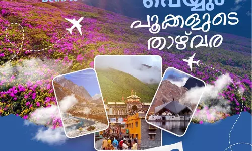 mediaone mystic meadows