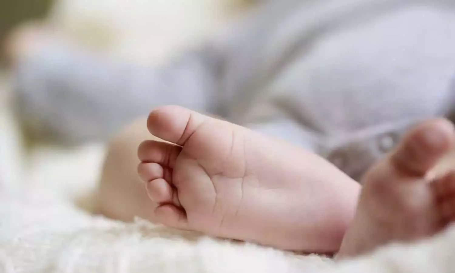 ഒരു വയസുകാരന്റെ മരണം, തലച്ചോറിലെ ഞരമ്പുകള് പൊട്ടി; മഞ്ഞപ്പിത്തത്തിന് മതിയായ ചികിത്സ ലഭിച്ചില്ലെന്ന് പോസ്റ്റ് മോര്ട്ടം റിപ്പോര്ട്ട് ഒരു വയസുകാരന്റെ മരണം, തലച്ചോറിലെ ഞരമ്പുകള് പൊട്ടി; മഞ്ഞപ്പിത്തത്തിന് മതിയായ ചികിത്സ ലഭിച്ചില്ലെന്ന് പോസ്റ്റ് മോര്ട്ടം റിപ്പോര്ട്ട്