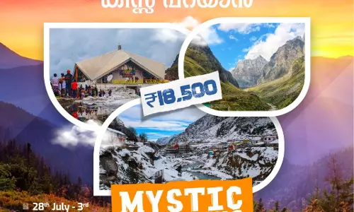 mediaone mystic meadows