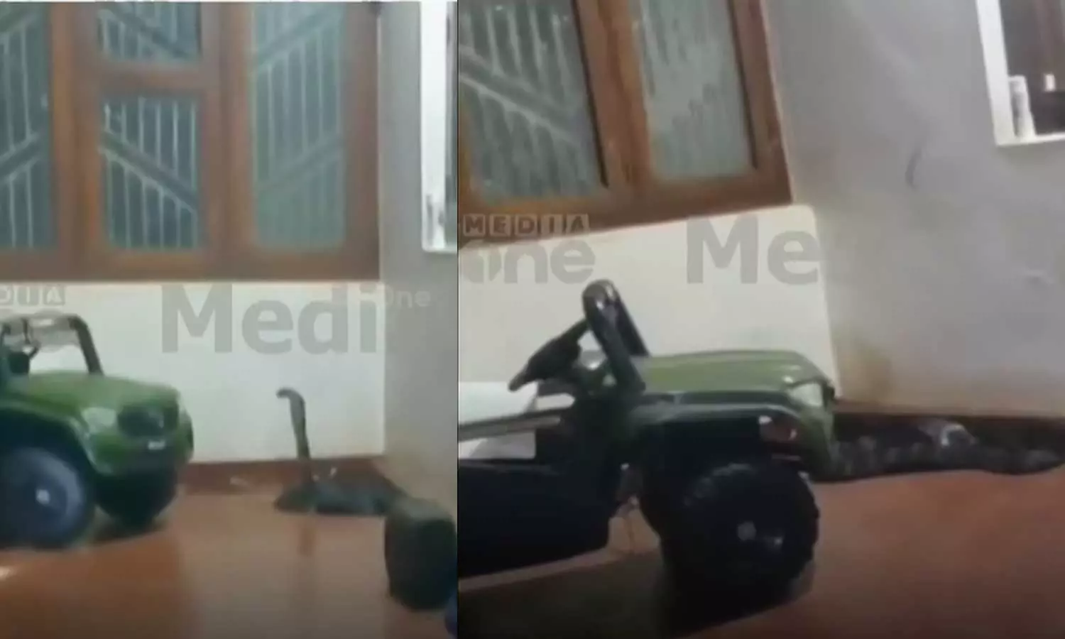 ഇലക്ട്രോണിക് ടോയ് കാറിനുള്ളില്‍ രാജവെമ്പാല