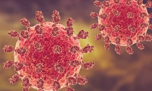 വീണ്ടും നിപ? പാലക്കാട് യുവതിക്ക് നിപ ബാധയെന്ന് സംശയം