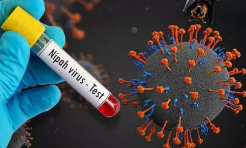 നിപ ജാഗ്രത; മലപ്പുറം ജില്ലയില്‍ 20 വാര്‍ഡുകള്‍ കണ്ടെയ്ന്‍മെന്റ് സോണുകളായി പ്രഖ്യാപിച്ചു