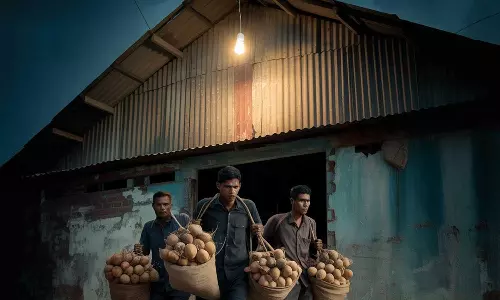 വില കൂടി; തേങ്ങാകള്ളന്മാരെ കൊണ്ട് പൊറുതിമുട്ടി കർഷകർ