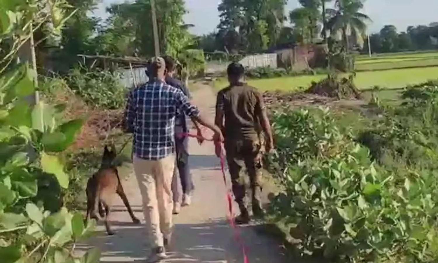 Bihar villagers kill, burn 5 of family over suspected witchcraft