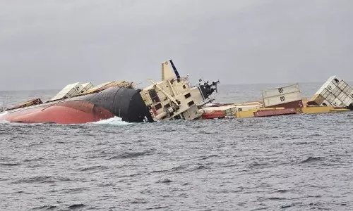 എംഎസ്‌സി എല്‍സ -3 കപ്പല്‍ അപകടം: 9,531 കോടി നഷ്ടപരിഹാരം തേടി സര്‍ക്കാര്‍ ഹൈക്കോടതിയില്‍