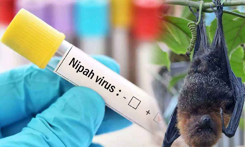 നിപ ബാധിച്ച പാലക്കാട് സ്വദേശിനിയുടെ നില ഗുരുതരമായി തുടരുന്നു; സമ്പര്‍ക്കപ്പട്ടികയില്‍ 461 പേര്‍