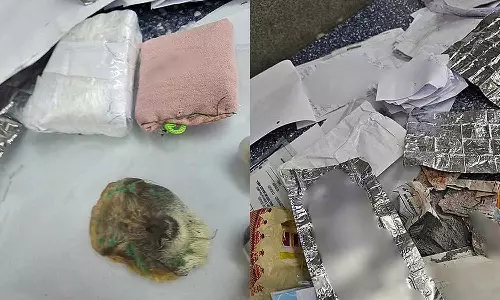 ദുർമന്ത്രവാദം ഇവിടെ വേണ്ട!; കുവൈത്തിലേക്ക് കടത്താൻ ശ്രമിച്ച മന്ത്രവാദ വസ്തുക്കൾ പിടികൂടി ദുർമന്ത്രവാദം ഇവിടെ വേണ്ട!; കുവൈത്തിലേക്ക് കടത്താൻ ശ്രമിച്ച മന്ത്രവാദ വസ്തുക്കൾ പിടികൂടി