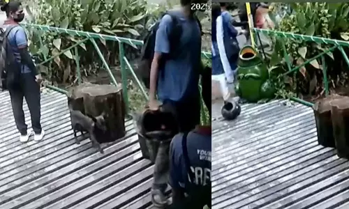 പോത്തുണ്ടി ഡാം ഉദ്യാനത്തില്‍ വനിതാ ജീവനക്കാരെ മര്‍ദിച്ചു, പാര്‍ക്കിനകത്ത് പൂട്ടിയിട്ടെന്ന് പരാതി