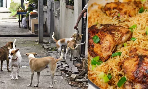 തെരുവ് നായകൾക്ക് ചിക്കനും മുട്ടയും ചോറും; പദ്ധതിയുമായി ബെംഗളൂരു നഗരസഭ, എല്ലാ നായകൾക്കും ഒരു ദിവസമുണ്ടെന്ന് നെറ്റിസൺസ്