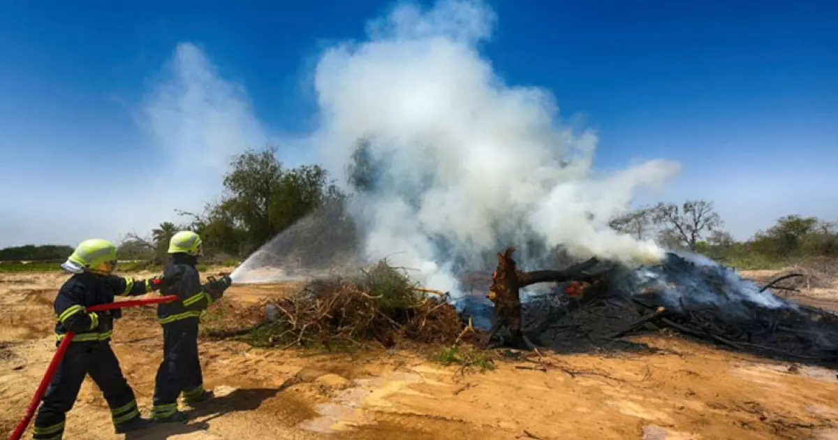 CDAA says 1014 fire cases were recorded last year CDAA says 1014 fire cases were recorded last year