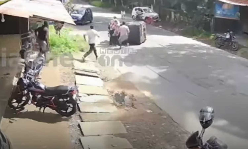 മലപ്പുറത്ത് തെരുവ നായ ഇടിച്ച് ഓട്ടോ മറിഞ്ഞു; ഡ്രൈവർക്ക് ​ദാരുണാന്ത്യം