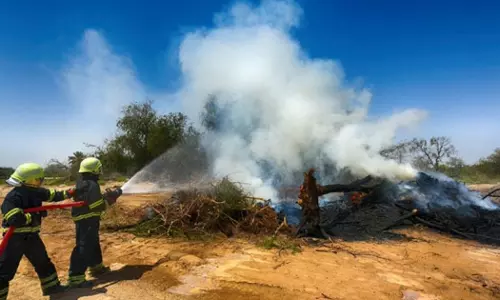 CDAA says 1014 fire cases were recorded last year