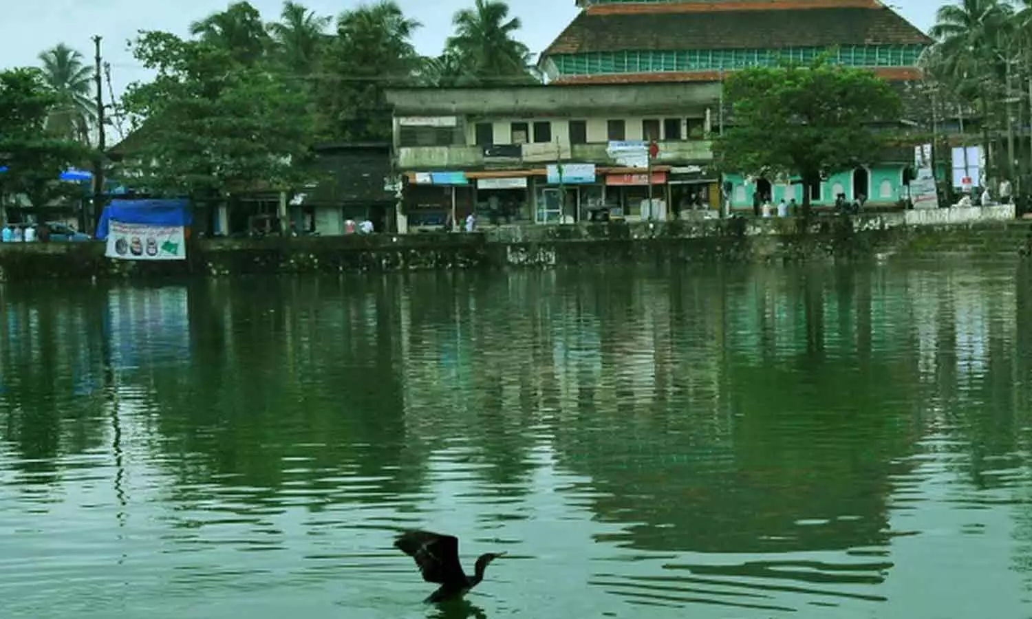 കുറ്റിച്ചിറ കുളത്തിൽ മുങ്ങിമരണങ്ങൾ തുടർക്കഥയാകുന്നു; സുരക്ഷാ സംവിധാനങ്ങൾ വർധിപ്പിക്കണമെന്ന് നാട്ടുകാർ കുറ്റിച്ചിറ കുളത്തിൽ മുങ്ങിമരണങ്ങൾ തുടർക്കഥയാകുന്നു; സുരക്ഷാ സംവിധാനങ്ങൾ വർധിപ്പിക്കണമെന്ന് നാട്ടുകാർ
