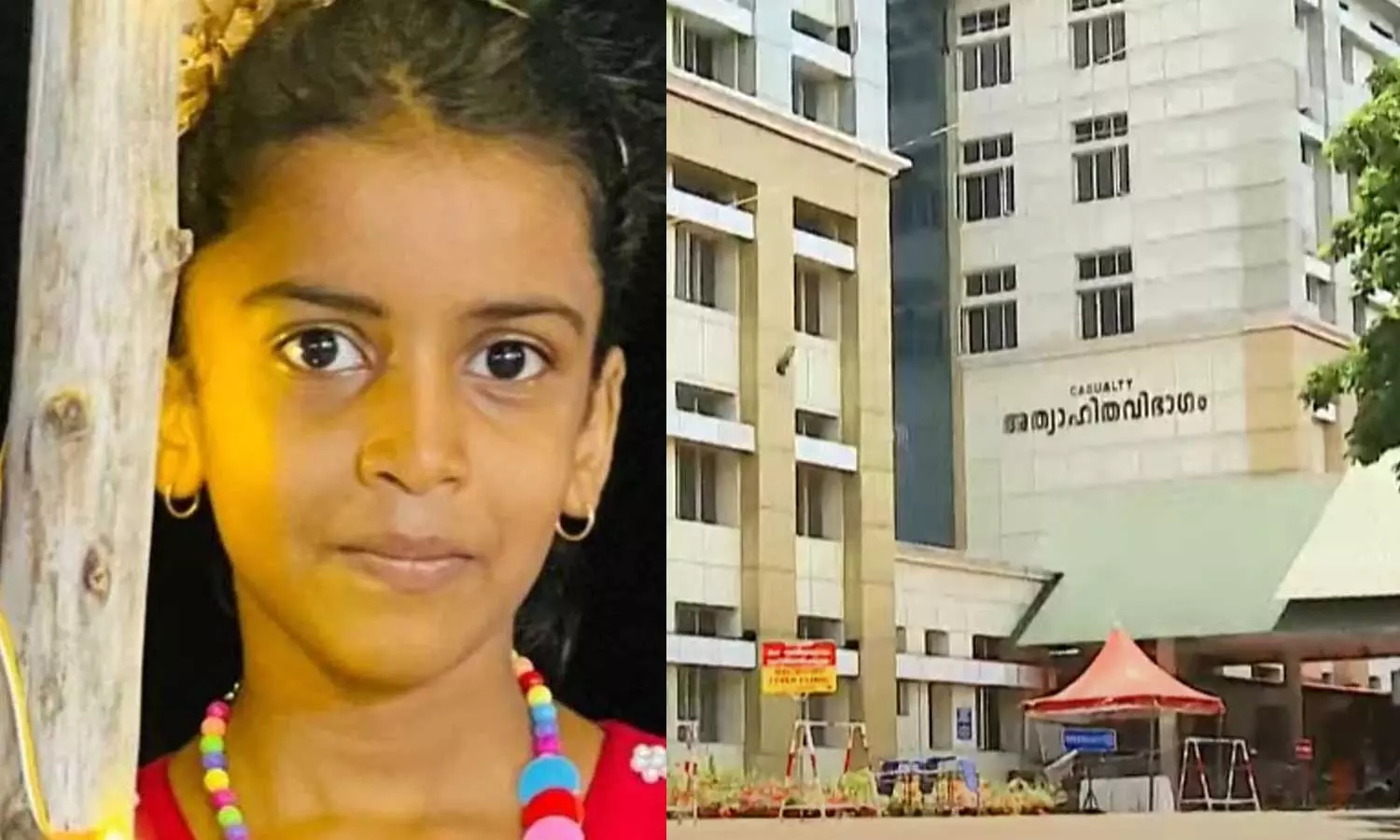 വളർത്തുപൂച്ചയുടെ നഖം കൊണ്ട് പരിക്കേറ്റ് ചികിത്സയിലായിരുന്ന പെൺകുട്ടി മരിച്ചത് പേവിഷബാധ മൂലമല്ലെന്ന് പരിശോധനാ ഫലം വളർത്തുപൂച്ചയുടെ നഖം കൊണ്ട് പരിക്കേറ്റ് ചികിത്സയിലായിരുന്ന പെൺകുട്ടി മരിച്ചത് പേവിഷബാധ മൂലമല്ലെന്ന് പരിശോധനാ ഫലം