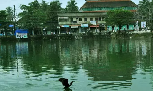 കുറ്റിച്ചിറ കുളത്തിൽ മുങ്ങിമരണങ്ങൾ തുടർക്കഥയാകുന്നു; സുരക്ഷാ സംവിധാനങ്ങൾ വർധിപ്പിക്കണമെന്ന് നാട്ടുകാർ