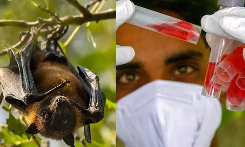 നിപ; പാലക്കാട്ടെ രണ്ടാമത്തെ സമ്പർക്ക പട്ടികയിൽ 112 പേർ