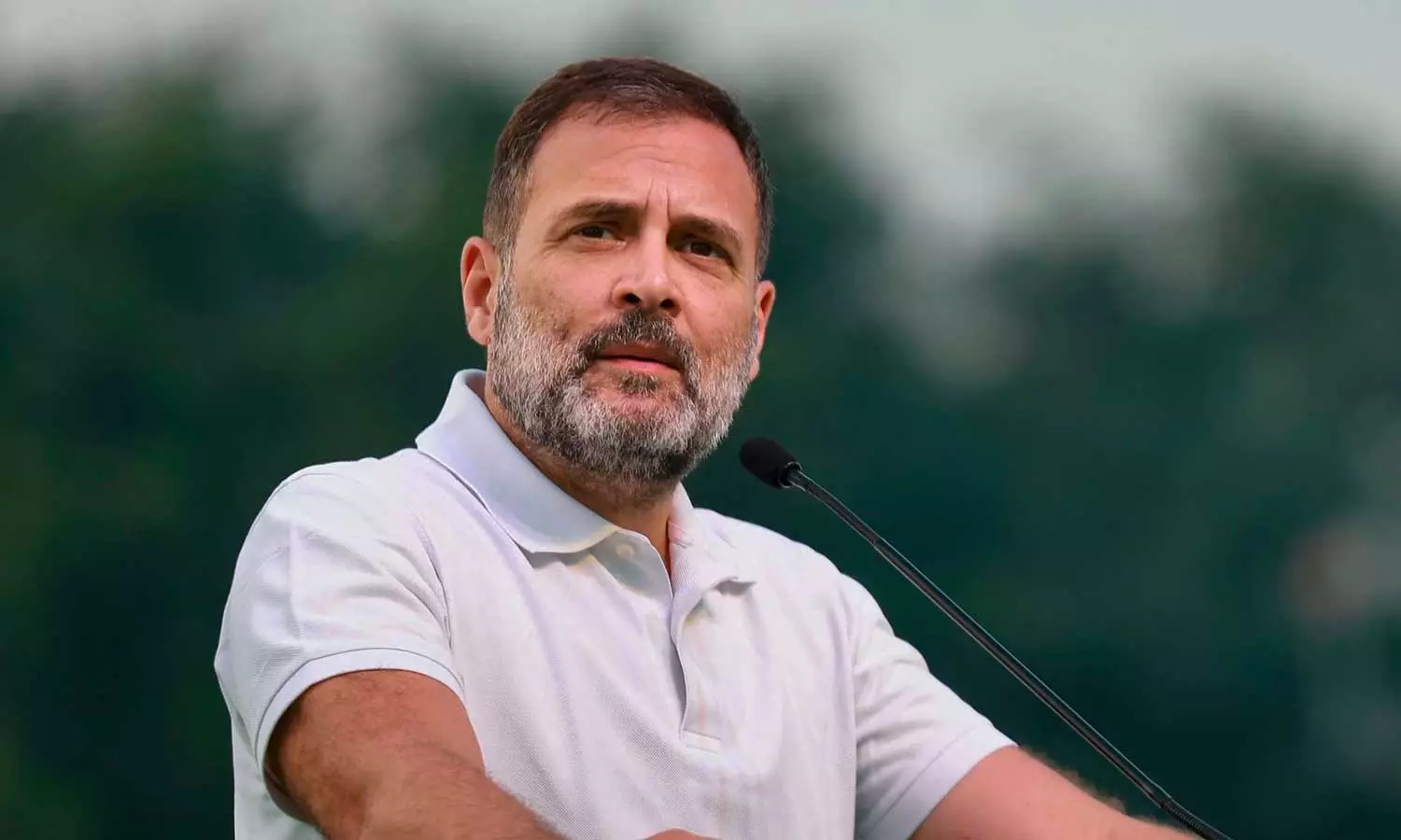 സ്കൂളുകളിലെ അടിസ്ഥാന സൗകര്യങ്ങളെക്കുറിച്ച് ഓഡിറ്റിങ് നടത്തണം: രാഹുല് ഗാന്ധി സ്കൂളുകളിലെ അടിസ്ഥാന സൗകര്യങ്ങളെക്കുറിച്ച് ഓഡിറ്റിങ് നടത്തണം: രാഹുല് ഗാന്ധി