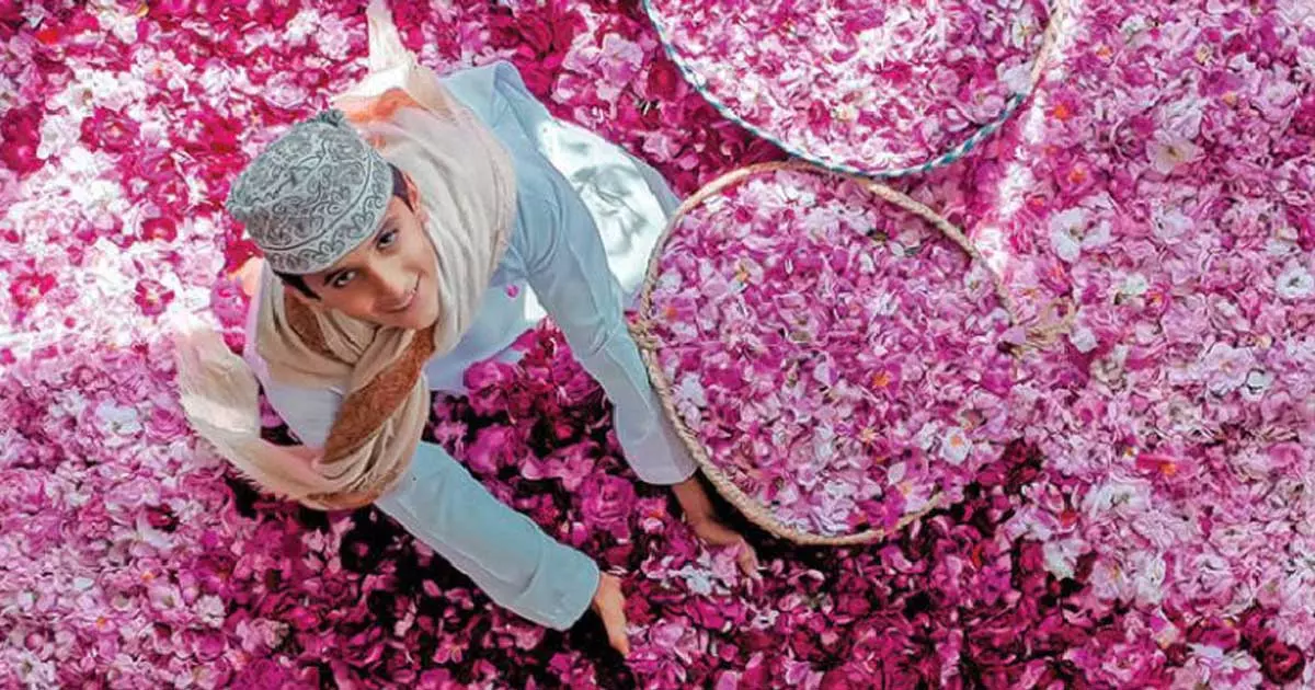 ജബൽ അഖ്ദറിലെ റോസാപ്പൂക്കൾക്ക് ഭം​ഗി കൂടും