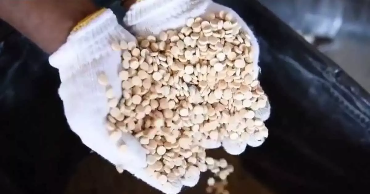 കുവൈത്തിൽ നാല് ദശലക്ഷം കാപ്റ്റഗൺ ഗുളികകൾ പിടിച്ചെടുത്തു കുവൈത്തിൽ നാല് ദശലക്ഷം കാപ്റ്റഗൺ ഗുളികകൾ പിടിച്ചെടുത്തു