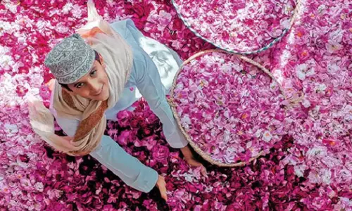 ജബൽ അഖ്ദറിലെ റോസാപ്പൂക്കൾക്ക് ഭം​ഗി കൂടും