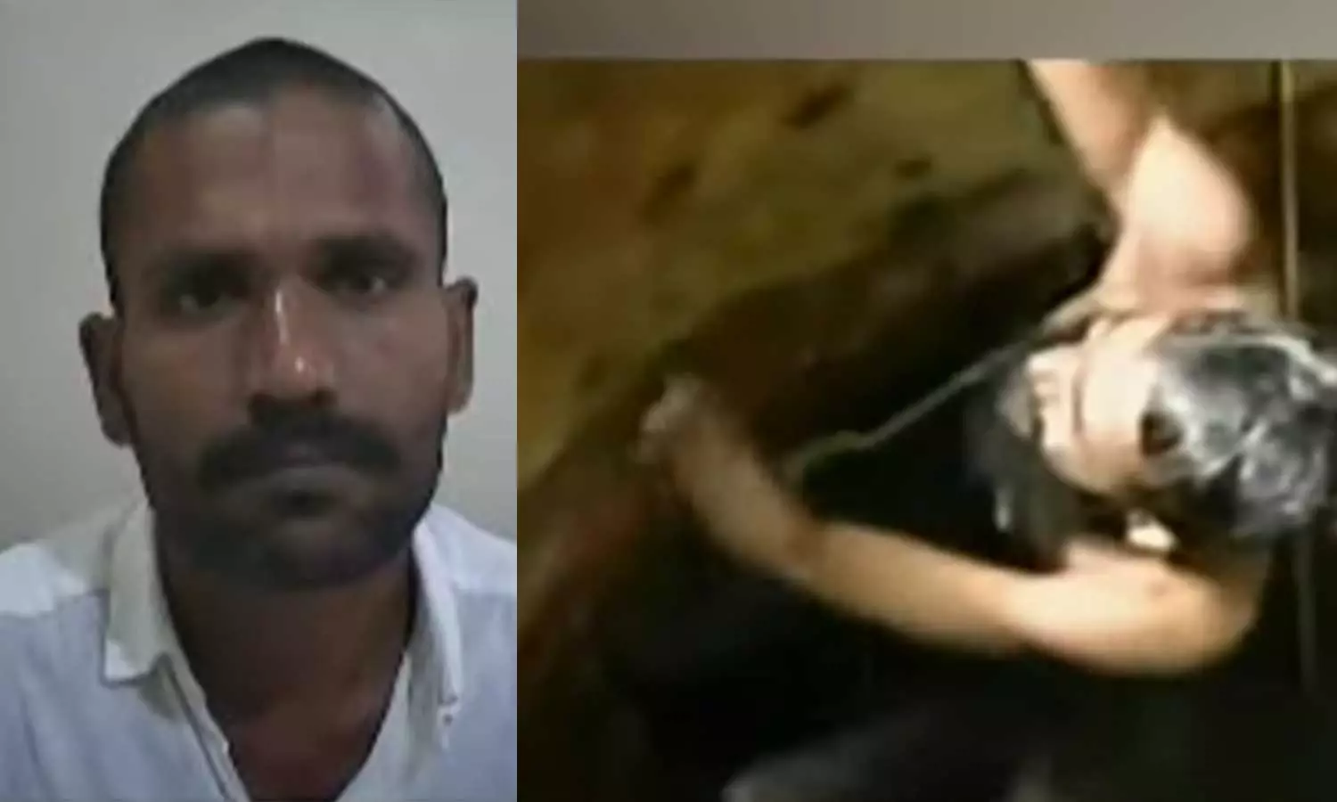 കൊടുംകുറ്റവാളി ഗോവിന്ദച്ചാമി പിടിയില്; ഒളിച്ചിരുന്നത് പൊട്ടക്കിണറ്റില് കൊടുംകുറ്റവാളി ഗോവിന്ദച്ചാമി പിടിയില്; ഒളിച്ചിരുന്നത് പൊട്ടക്കിണറ്റില്