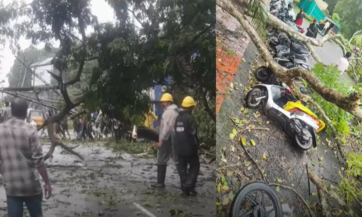 കോട്ടയത്ത് ശക്തമായ കാറ്റിൽ വ്യാപക നാശനഷ്ടം കോട്ടയത്ത് ശക്തമായ കാറ്റിൽ വ്യാപക നാശനഷ്ടം