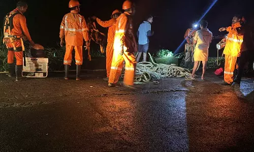 ഇടുക്കി വാഗമൺ റോഡിൽ വിനോദ സഞ്ചാരി കൊക്കയിൽ വീണ് മരിച്ചു