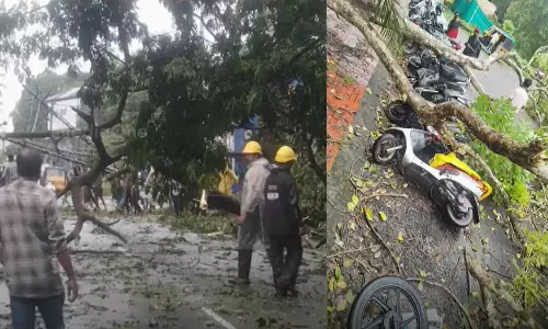 കോട്ടയത്ത് ശക്തമായ കാറ്റിൽ വ്യാപക നാശനഷ്ടം