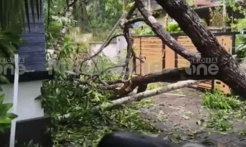 സംസ്ഥാനത്ത് കനത്ത മഴയില്‍ വ്യാപക നാശനഷ്ടങ്ങള്‍