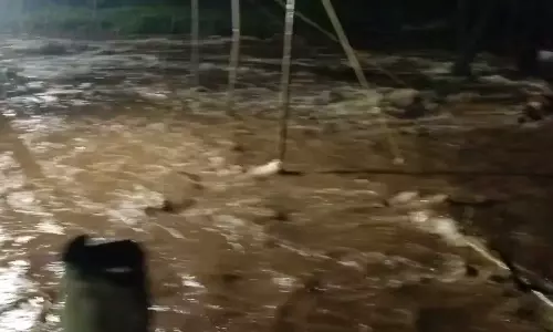 കനത്ത മഴ; വയനാട് തവിഞ്ഞാല്‍ തലപ്പുഴ പുഴയില്‍ മലവെള്ളപ്പാച്ചില്‍