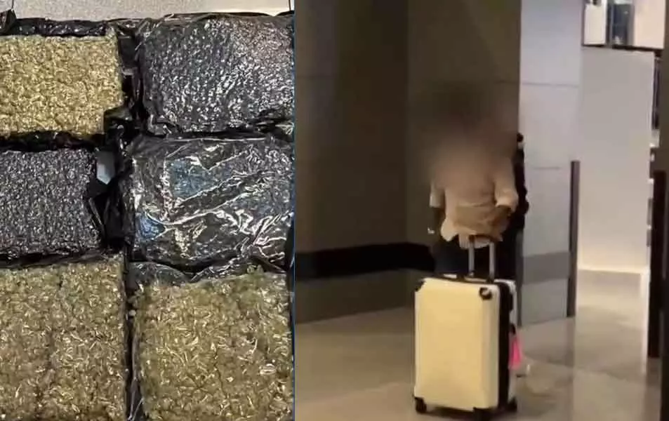 സലാല വിമാനത്താവളത്തിൽ 6.5 കിലോ കഞ്ചാവുമായി ഇന്ത്യൻ യാത്രക്കാരൻ പിടിയിൽ സലാല വിമാനത്താവളത്തിൽ 6.5 കിലോ കഞ്ചാവുമായി ഇന്ത്യൻ യാത്രക്കാരൻ പിടിയിൽ