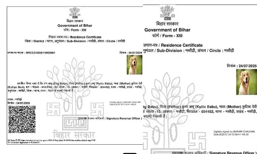 പേര് ഡോഗ് ബാബു, അച്ഛന്റെ പേര് കുട്ടബാബു; വിവാദമായി നായയുടെ പേരിലുള്ള റസിഡന്‍സ് സര്‍ട്ടിഫിക്കറ്റ്