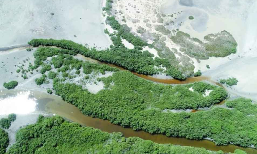 ഒമാന്റെ അൽ വുസ്ത തണ്ണീർത്തടത്തിന് റാംസർ അംഗീകാരം