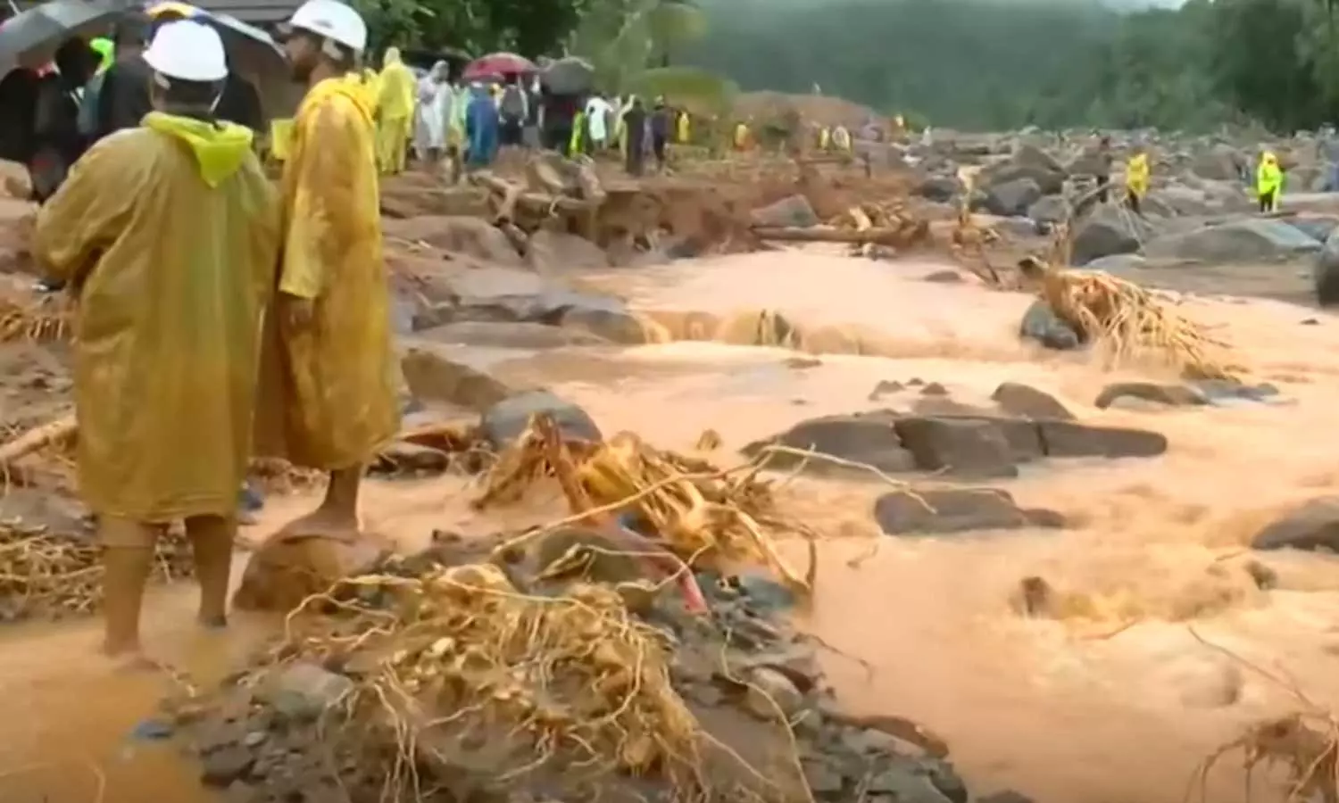 മുണ്ടക്കൈയില്‍ ഉപജീവനമാര്‍ഗത്തിന് പോലും വഴിയില്ലാതെ ദുരന്തബാധിതര്‍; കാത്തിരിക്കുന്നത് ഭീമമായ വായ്പ തിരിച്ചടവ്