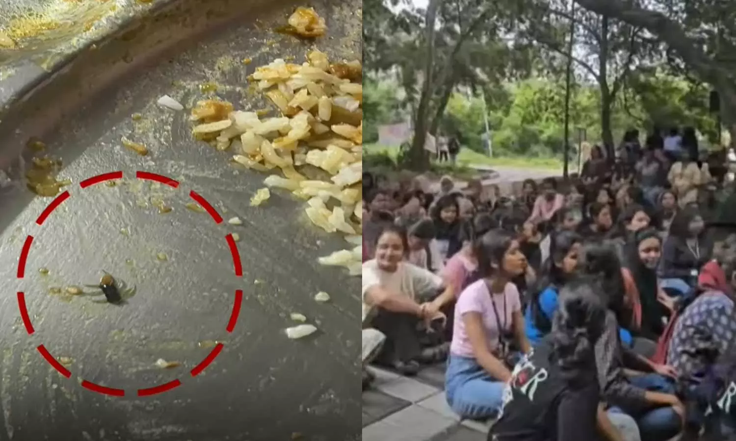 ഭക്ഷണത്തില് കഴിഞ്ഞ ദിവസം പഴുതാര, ഇന്ന് പുഴു; ശ്രീകാര്യം ഗവ. എഞ്ചിനീയറിങ് കോളജില് പ്രതിഷേധം ഭക്ഷണത്തില് കഴിഞ്ഞ ദിവസം പഴുതാര, ഇന്ന് പുഴു; ശ്രീകാര്യം ഗവ. എഞ്ചിനീയറിങ് കോളജില് പ്രതിഷേധം