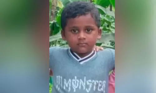 പാലക്കാട്ട് വെള്ളക്കെട്ടിൽ വീണ് നാലര വയസുകാരന് ദാരുണാന്ത്യം