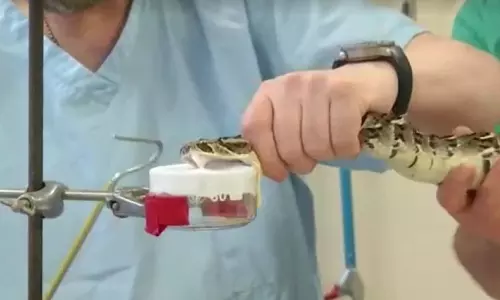 ഇനി പാമ്പുകടിയേറ്റാലും എഐ?; വിഷം നിര്‍വീര്യമാക്കുന്ന ആന്‍റിവെനം നിർമിക്കാനൊരുങ്ങി ശാസ്ത്രജ്ഞര്‍