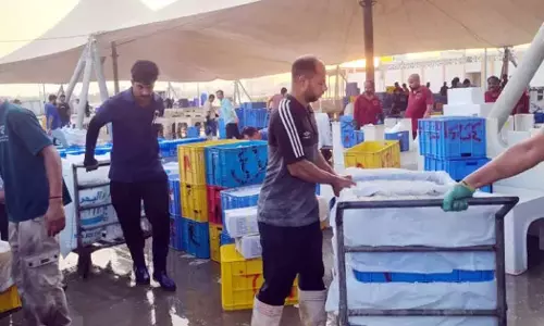 സൗദിയില് ട്രോളിംഗ് നിരോധനം ഇന്ന് തീരും സൗദിയില് ട്രോളിംഗ് നിരോധനം ഇന്ന് തീരും