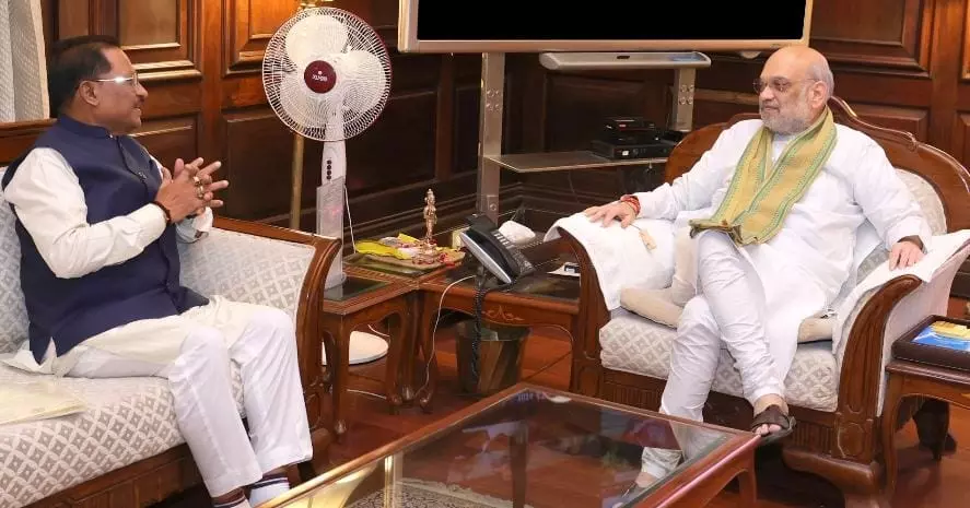 chhattisgarh cm meets amit shah chhattisgarh cm meets amit shah