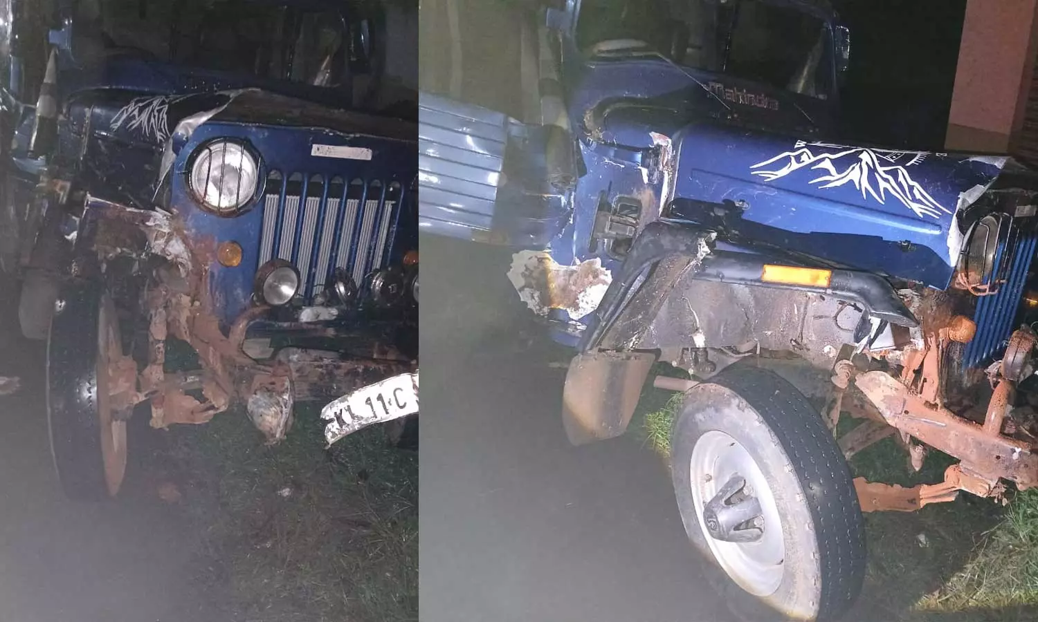 കൊല്ലത്ത് കാട്ടുപോത്ത് ആക്രമണം; സഞ്ചരിച്ചുകൊണ്ടിരുന്ന വാഹനത്തിലിടിച്ച് അഞ്ചുപേർക്ക് പരിക്ക്