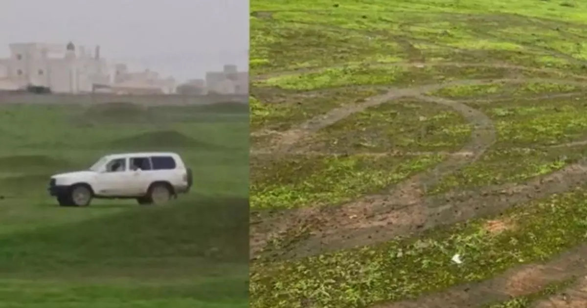 Environmental Authority takes action against driver who destroyed greenery in Salalah Environmental Authority takes action against driver who destroyed greenery in Salalah
