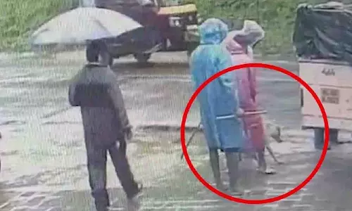 മൂന്നാറിൽ നായകളെ കൂട്ടത്തോടെ കൊന്നൊടുക്കിയെന്ന പരാതി; നായകളെ പിടികൂടി കൊണ്ടുപോയ വാഹനം കസ്റ്റഡിയിൽ